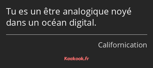 Tu es un être analogique noyé dans un océan digital.