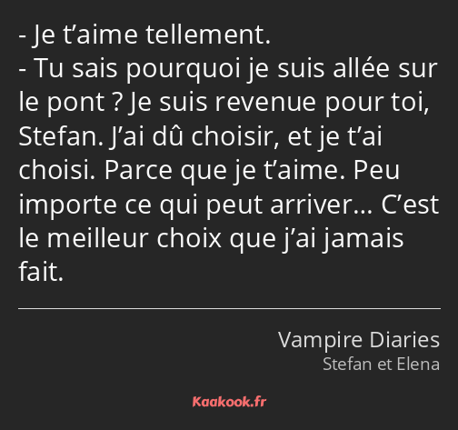 Je t’aime tellement. Tu sais pourquoi je suis allée sur le pont ? Je suis revenue pour toi, Stefan…