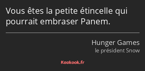 Vous êtes la petite étincelle qui pourrait embraser Panem.