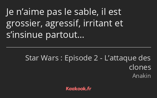 Je n’aime pas le sable, il est grossier, agressif, irritant et s’insinue partout…