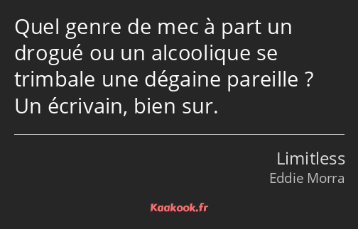 Quel genre de mec à part un drogué ou un alcoolique se trimbale une dégaine pareille ? Un écrivain…