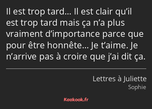 Il est trop tard… Il est clair qu’il est trop tard mais ça n’a plus vraiment d’importance parce que…