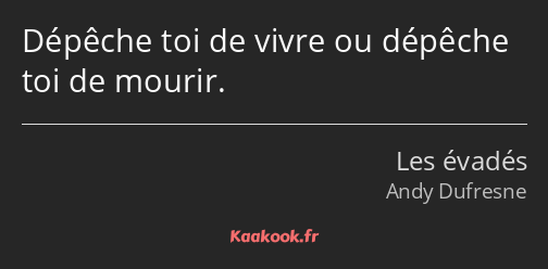 Dépêche toi de vivre ou dépêche toi de mourir.