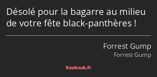 Désolé pour la bagarre au milieu de votre fête black-panthères !