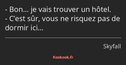 Bon… je vais trouver un hôtel. C’est sûr, vous ne risquez pas de dormir ici…