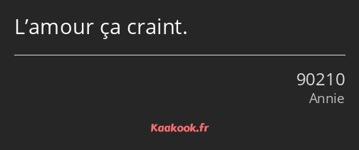 L’amour ça craint.