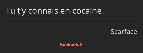 Tu t’y connais en cocaïne.