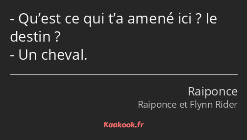 Qu’est ce qui t’a amené ici ? le destin ? Un cheval.