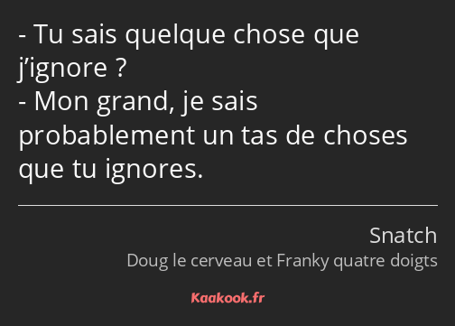 Tu sais quelque chose que j’ignore ? Mon grand, je sais probablement un tas de choses que tu…