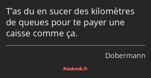 T’as du en sucer des kilomètres de queues pour te payer une caisse comme ça.