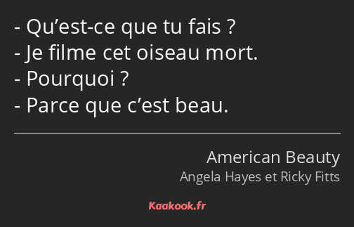 Qu’est-ce que tu fais ? Je filme cet oiseau mort. Pourquoi ? Parce que c’est beau.