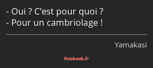 Oui ? C’est pour quoi ? Pour un cambriolage !