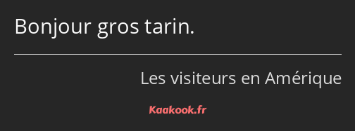 Bonjour gros tarin.