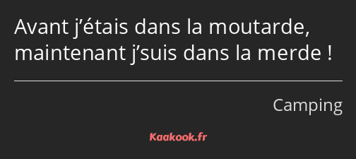 Avant j’étais dans la moutarde, maintenant j’suis dans la merde !