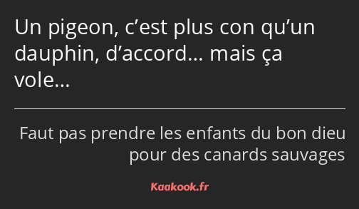 Un pigeon, c’est plus con qu’un dauphin, d’accord… mais ça vole…