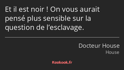 Et il est noir ! On vous aurait pensé plus sensible sur la question de l’esclavage.