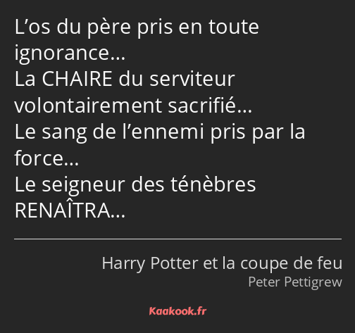 L’os du père pris en toute ignorance… La CHAIRE du serviteur volontairement sacrifié… Le sang de…