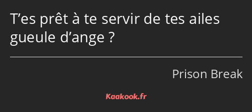 T’es prêt à te servir de tes ailes gueule d’ange ?