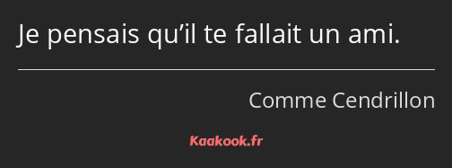 Je pensais qu’il te fallait un ami.