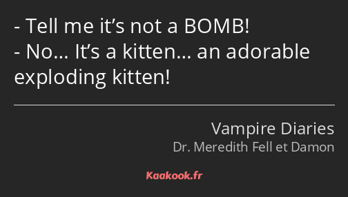 Tell me it’s not a BOMB! No… It’s a kitten… an adorable exploding kitten!