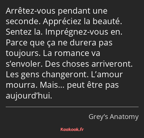 Arrêtez-vous pendant une seconde. Appréciez la beauté. Sentez la. Imprégnez-vous en. Parce que ça…