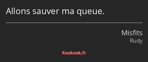 Allons sauver ma queue.