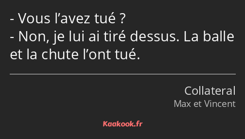 Vous l’avez tué ? Non, je lui ai tiré dessus. La balle et la chute l’ont tué.