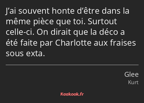 J’ai souvent honte d’être dans la même pièce que toi. Surtout celle-ci. On dirait que la déco a été…