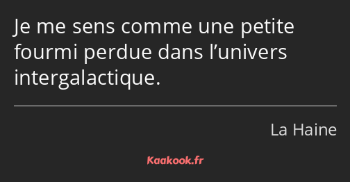 Je me sens comme une petite fourmi perdue dans l’univers intergalactique.