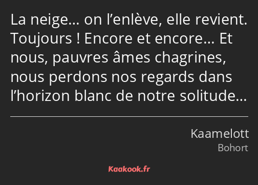 La neige… on l’enlève, elle revient. Toujours ! Encore et encore… Et nous, pauvres âmes chagrines…