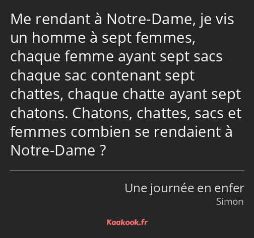 Me rendant à Notre-Dame, je vis un homme à sept femmes, chaque femme ayant sept sacs chaque sac…