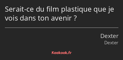 Serait-ce du film plastique que je vois dans ton avenir ?