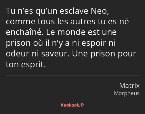 Tu n’es qu’un esclave Neo, comme tous les autres tu es né enchaîné. Le monde est une prison où il…