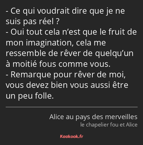 Ce qui voudrait dire que je ne suis pas réel ? Oui tout cela n’est que le fruit de mon imagination…