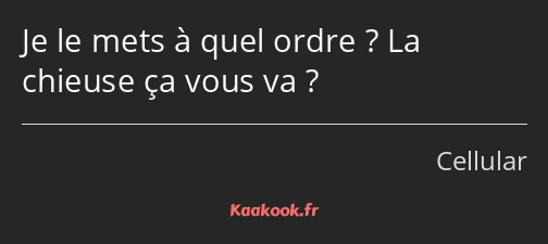 Je le mets à quel ordre ? La chieuse ça vous va ?