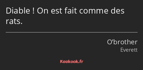 Diable ! On est fait comme des rats.