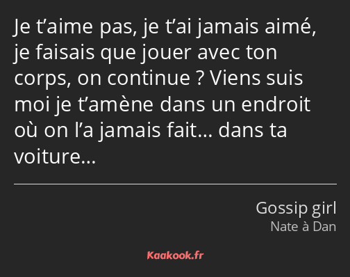 Je t’aime pas, je t’ai jamais aimé, je faisais que jouer avec ton corps, on continue ? Viens suis…