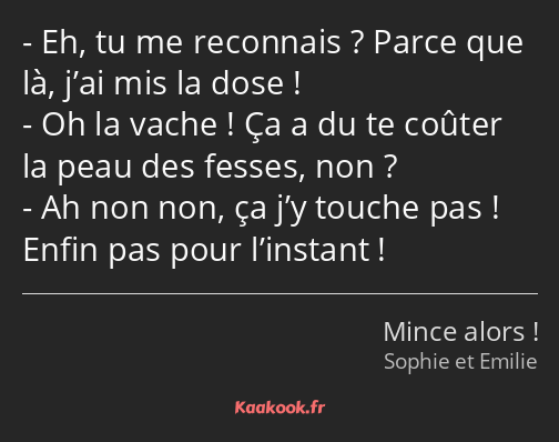 Eh, tu me reconnais ? Parce que là, j’ai mis la dose ! Oh la vache ! Ça a du te coûter la peau des…