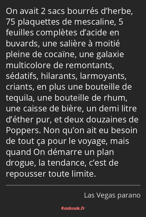 On avait 2 sacs bourrés d’herbe, 75 plaquettes de mescaline, 5 feuilles complètes d’acide en…