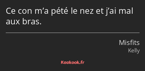 Ce con m’a pété le nez et j’ai mal aux bras.