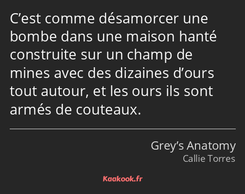 C’est comme désamorcer une bombe dans une maison hanté construite sur un champ de mines avec des…