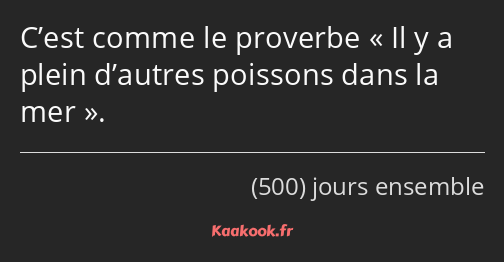 C’est comme le proverbe Il y a plein d’autres poissons dans la mer.