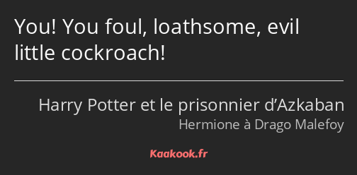 You! You foul, loathsome, evil little cockroach!