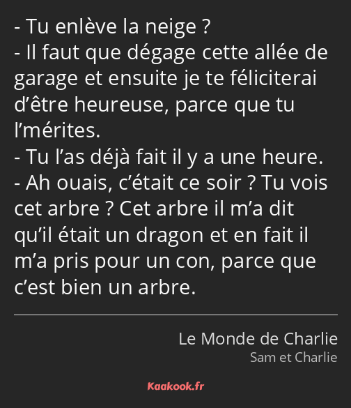 Tu enlève la neige ? Il faut que dégage cette allée de garage et ensuite je te féliciterai d’être…