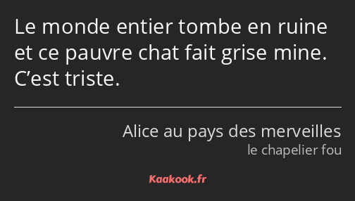 Le monde entier tombe en ruine et ce pauvre chat fait grise mine. C’est triste.