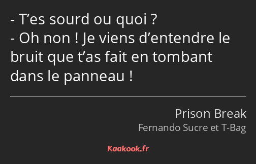 T’es sourd ou quoi ? Oh non ! Je viens d’entendre le bruit que t’as fait en tombant dans le panneau…