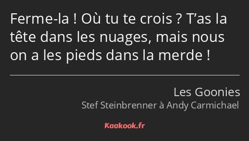 Ferme-la ! Où tu te crois ? T’as la tête dans les nuages, mais nous on a les pieds dans la merde !