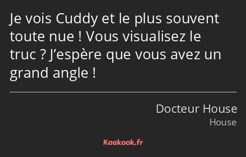 Je vois Cuddy et le plus souvent toute nue ! Vous visualisez le truc ? J’espère que vous avez un…