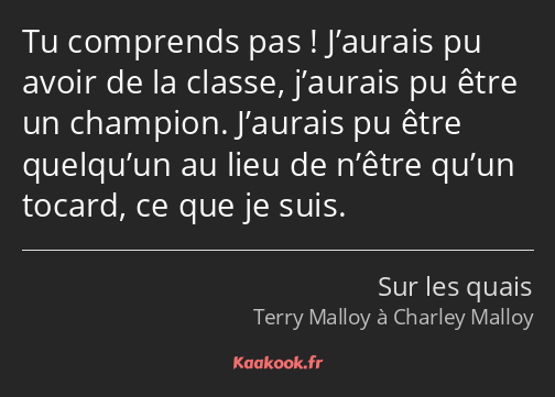 Tu comprends pas ! J’aurais pu avoir de la classe, j’aurais pu être un champion. J’aurais pu être…