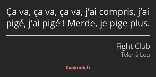 Ça va, ça va, ça va, j’ai compris, j’ai pigé, j’ai pigé ! Merde, je pige plus.